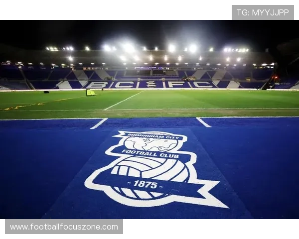 伯明翰足球俱乐部的历史与未来发展探讨