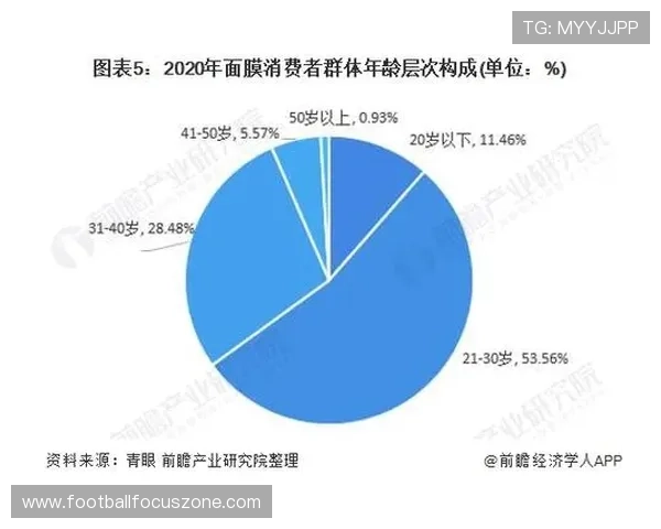 普鲁士多特蒙德股份有限公司发展战略与市场前景分析